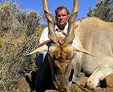 Hunt the majestic Cape eland in Southern Africa.