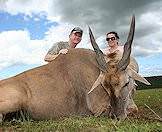 Hunt eland in the Free State, Eastern Cape, bushveld or Kalahari.