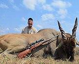 Eland hunts are often opportunistic whilst in pursuit of other game.