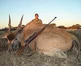 An eland hunt at dusk.