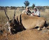 The eland's immense size classes it as big game.
