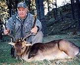 A hunter displays his fallow deer trophy for a photograph.