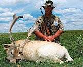 A white fallow deer hunted in South Africa.