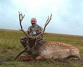 Though not indigenous, fallow deer may be hunted in South Africa.