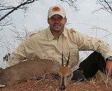 A grey duiker hunt in South Africa.