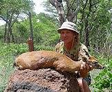 A grey duiker hunted with ASH Adventures.