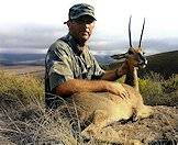A grey rhebok with immense horns.
