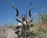 A kudu hunted in South Africa.