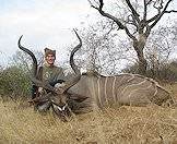 Only kudu bulls carry horns.