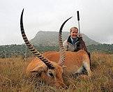 Red lechews have stunning forward-curving horns.