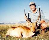 Red lechwe trophies are measured by their horns.