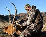 A red lechwe hunt in central South Africa.