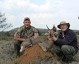 The mountain reedbuck typically avoids open areas.