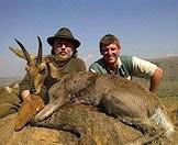 Mountain reedbucks are found in mountainous areas in South Africa.