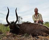 The nyala is an exciting inclusion in a plains game hunting package.
