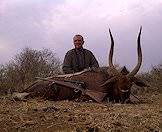 A nyala hunted Afircan Sky Hunting.