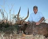 The nyala is an attractive medium-sized antelope.