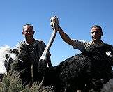 Hunt the world's largest bird with AS Hunting Adventures.