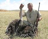 A female ostrich trophy.