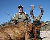 A close-up shot of a red hartebeest trophy.