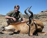 Red hartebeest hunting requires some patience.