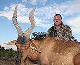 The red hartebeest is included in two of our hunting packages.