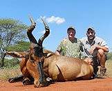 Trust the advice of your professional hunter when hunting red hartebeest.
