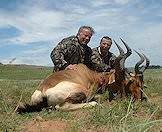 Red harbeest hunted the open plains of the eastern Free State.