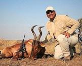 The red hartebeest is one of the fastest antelopes.