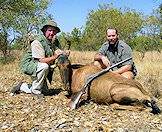 The red hartebeest is available in many hunting concessions.