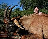 A majestic roan antelope hunted in South Africa.