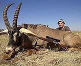 The roan antelope is second largest antelope that can be hunted in South Africa.