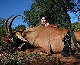 Hunt the roan antelope with ASH Adventures.