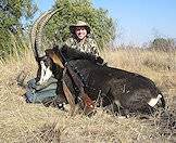 The sable is highly sought-after by avid plains game hunters.