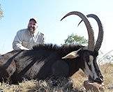 Hunt the majestic sable antelope with ASH Adventures.