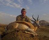 A springbok hunted at sunset.