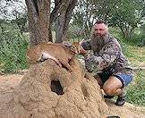Steenbok are often hunted opportunistically.