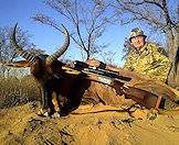 A tsessebe hunted with ASH Adventures.