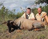 The tsessebe can be hunted in the Eastern Cape and the bushveld.
