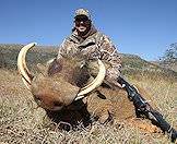 Hunt the warthog with AS Hunting Adventures.
