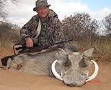 The warthog's sharp tusks make it a dangerous enemy.