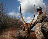 The waterbuck occurs widely across Southern Africa.