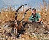 A waterbuck hunted on safari with AS Hunting Adventures.