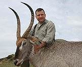 The waterbuck's horns make him a formidable foe when wounded or threatened.