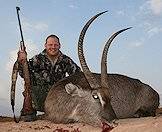 The waterbuck is one of the plains game species that can be hunted in South Africa.