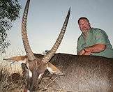 A close-up of a waterbuck trophy.