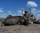 Hunt the stately waterbuck in South Africa.