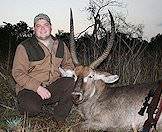 A waterbuck hunted amongst the reeds.