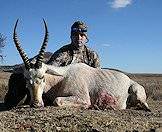 White blesbok can be hunted wherever common blesbok occur.