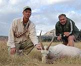 The white blesbok is a unique color variation and not a sub-species.